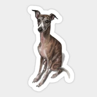 The Whippet Sticker